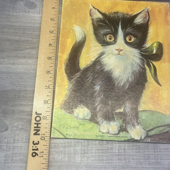 Tuxedo Black White Cat Green Ribbon 8x10 RF Harnett Litho in USA - Picture 10 of 12